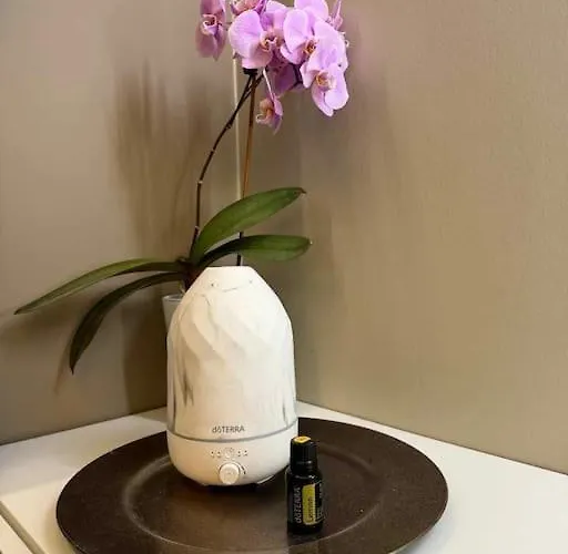 Daire Arctic Feathers